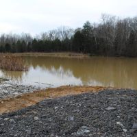 Jennings County 80 Acre Paradise images 4