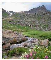 Gunnison National Forests 498,152 acres Elk Hunting Land in Delta, CO images 4