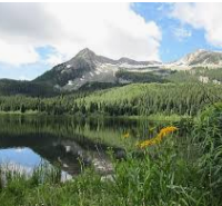 Gunnison National Forests 498,152 acres Elk Hunting Land in Delta, CO images 5