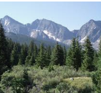 Gunnison National Forests 498,152 acres Elk Hunting Land in Delta, CO images 6