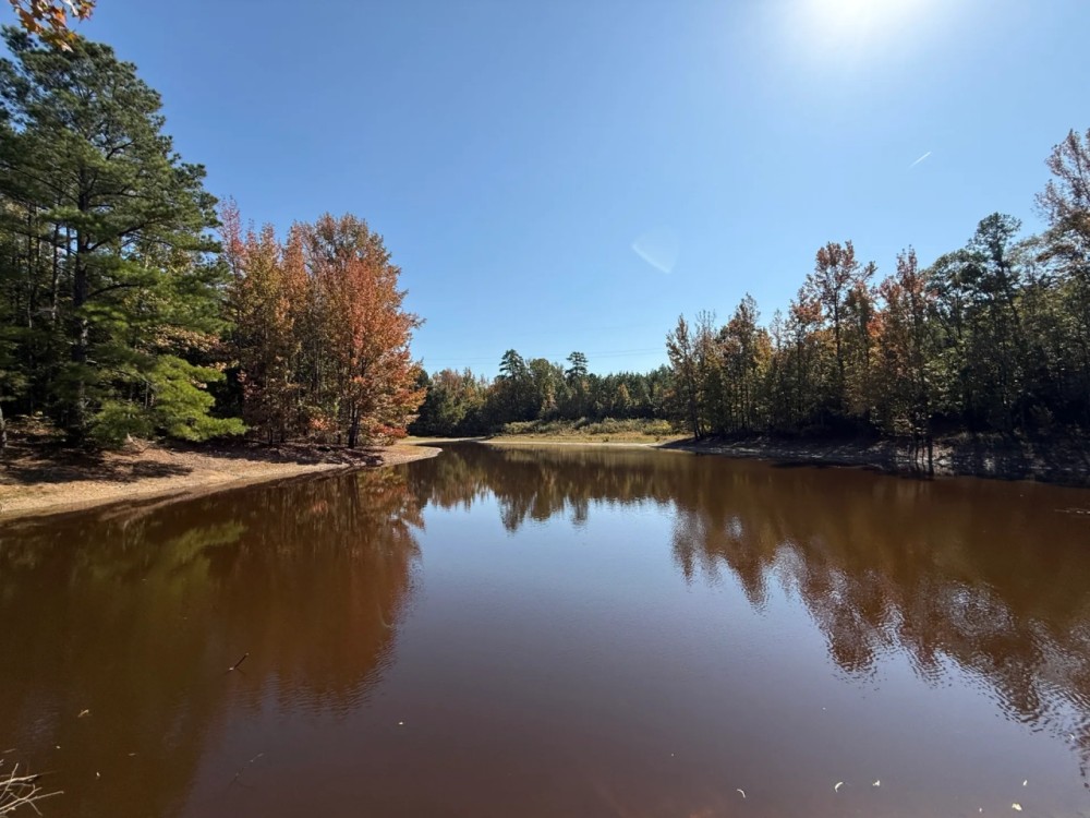 388 Acres in Yalobusha County MS featured image