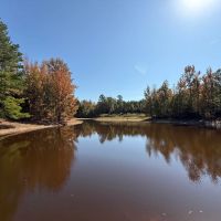 388 Acres in Yalobusha County MS