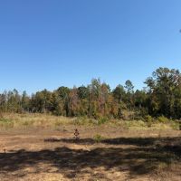 388 Acres in Yalobusha County MS images 3