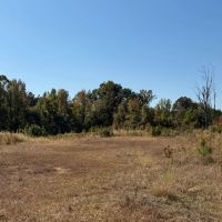 388 Acres in Yalobusha County MS images 4