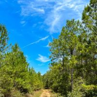451 Acres The Game Preserve images 2