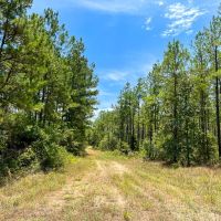 451 Acres The Game Preserve images 4