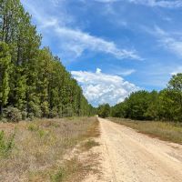 451 Acres The Game Preserve images 5