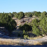 South Apishapa Ranch images 3