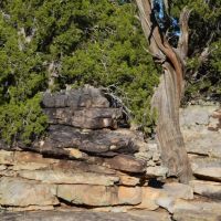 South Apishapa Ranch images 5