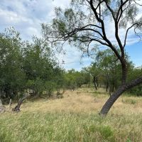 New Listing 43 - Acres TR 18 19 Shackelford County images 3