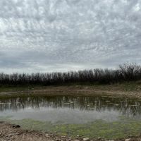 New Listing 43 - Acres TR 18 19 Shackelford County images 5