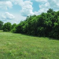 0 N FM 51 Decatur Texas 76234 images 3