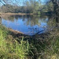 New Listing 319.484 - Acres Coleman County