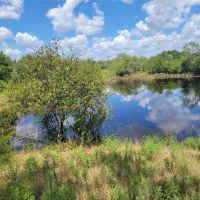 New Listing 319.484 - Acres Coleman County images 2