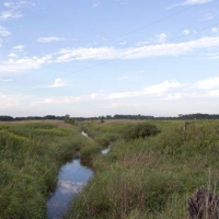 Leola Marsh Wildlife Area 1,860 Acre of Duck Hunting land in Waushara, WI images 5