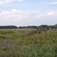 Leola Marsh Wildlife Area 1,860 Acre of Duck Hunting land in Waushara, WI images 3