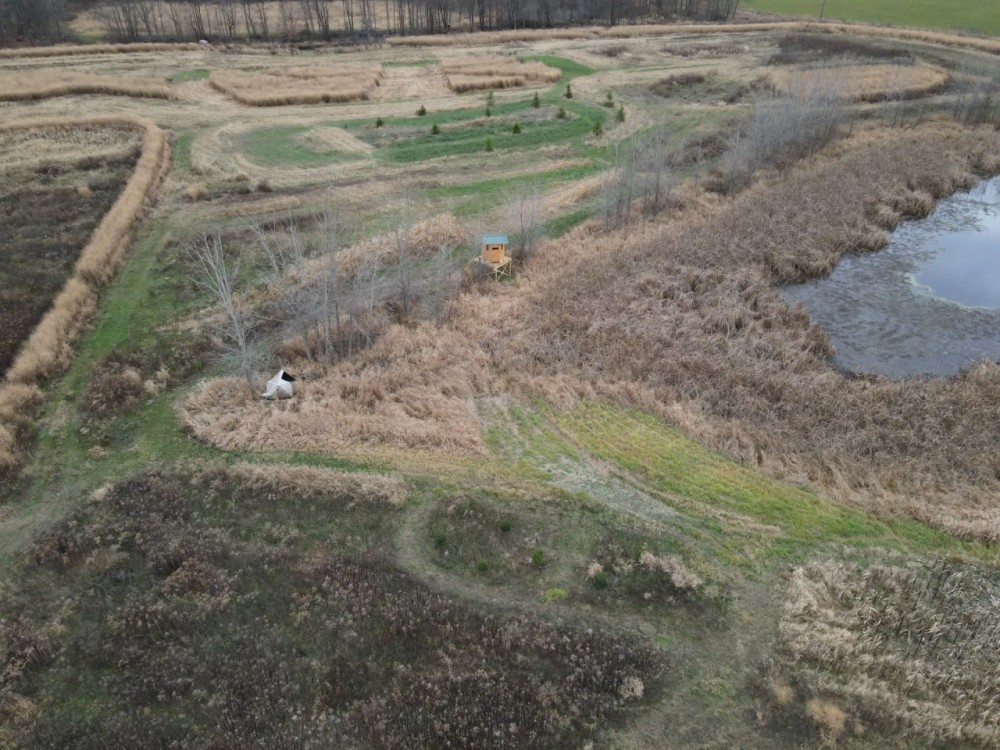 27 - Acres of Buildable Hunting Land Newaygo County MI featured image