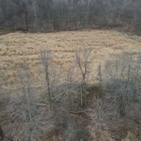27 - Acres of Buildable Hunting Land Newaygo County MI images 4