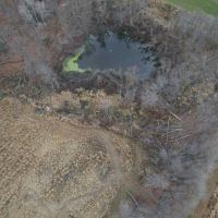 27 - Acres of Buildable Hunting Land Newaygo County MI images 5