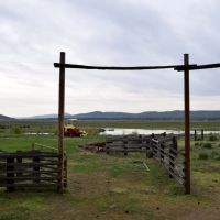 Four J Ranch images 2