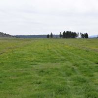 Four J Ranch images 5