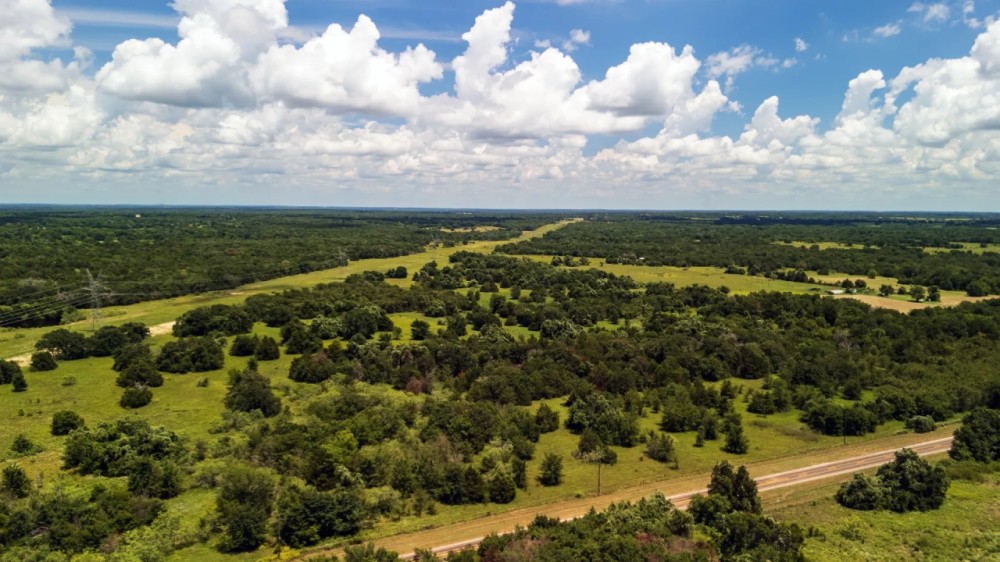 225 Acres FM 1366 No Deed Restrictions featured image