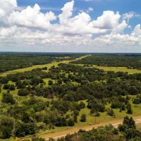 225 Acres FM 1366 No Deed Restrictions