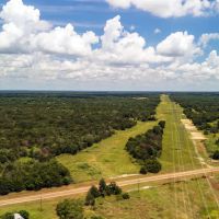 225 Acres FM 1366 No Deed Restrictions images 2