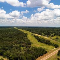 225 Acres FM 1366 No Deed Restrictions images 3
