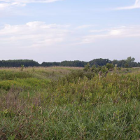 Paul J. Olson Wildlife Area 2,995 Acers of Duck Hunting land in wood WI images 3