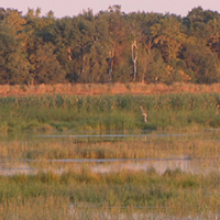 Paul J. Olson Wildlife Area 2,995 Acers of Duck Hunting land in wood WI images 2