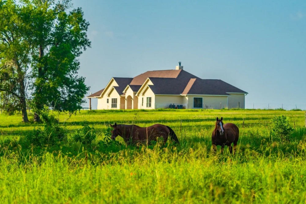 Dolen Ranch featured image