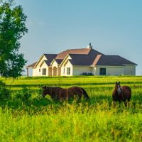 Dolen Ranch