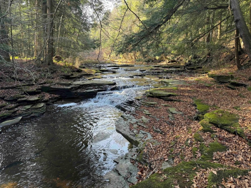 42 acres Hunting Land and Recreational Land with Pavilion and Waterfall in Ripley NY Post Road featured image