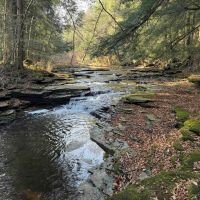 42 acres Hunting Land and Recreational Land with Pavilion and Waterfall in Ripley NY Post Road