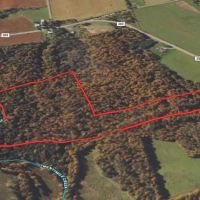 42 acres Hunting Land and Recreational Land with Pavilion and Waterfall in Ripley NY Post Road images 3