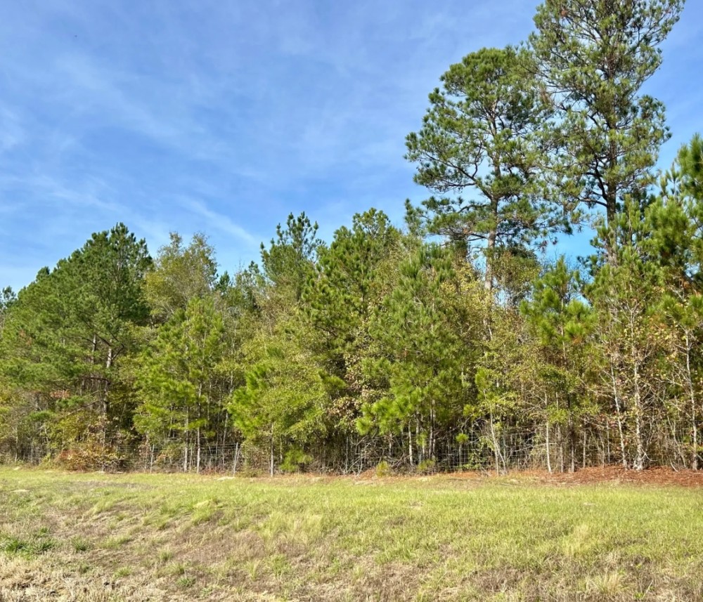 39 Acres in McDuffie County GA featured image