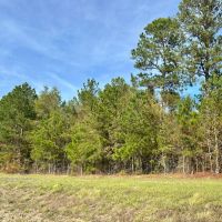 39 Acres in McDuffie County GA
