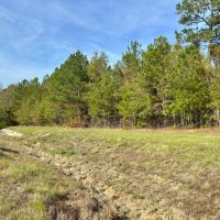 39 Acres in McDuffie County GA images 2
