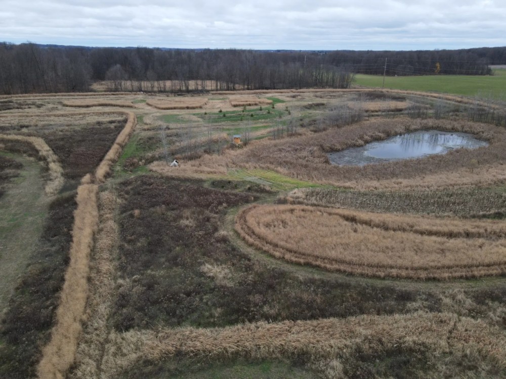 2 Acre Lot with More Hunting Land Available MI featured image
