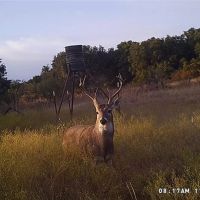 New Listing 100 - Acres Coleman County