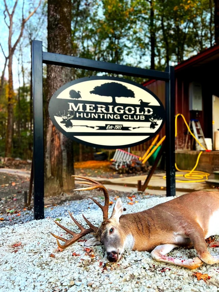 One Equity Share at Merigold Hunting Club in Bolivar County MS featured image