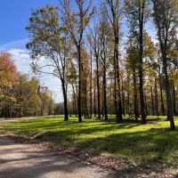 One Equity Share at Merigold Hunting Club in Bolivar County MS images 4