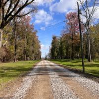 One Equity Share at Merigold Hunting Club in Bolivar County MS images 5