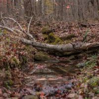 65 Acres in Van Buren County TN