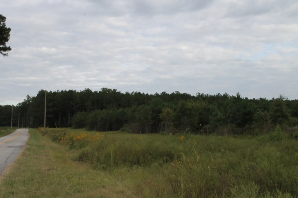 MLS 21872276 60 Acres of Unrestricted Land Near Weiss Lake featured image