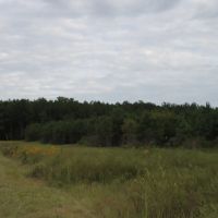 MLS 21872276 60 Acres of Unrestricted Land Near Weiss Lake images 1