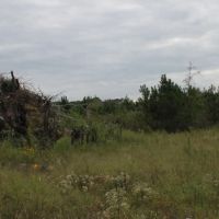 MLS 21872276 60 Acres of Unrestricted Land Near Weiss Lake images 3