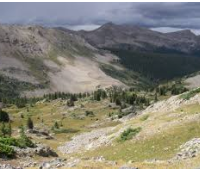 167,996 acres Collegiate Peaks Wilderness Bear Hunting in Delta, CO images 2