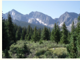 167,996 acres Collegiate Peaks Wilderness Bear Hunting in Delta, CO images 4